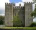 Замок Бларни (Blarney Castle)