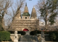  Храм Чжэньцзюэ (Zhenjue Temple) 37